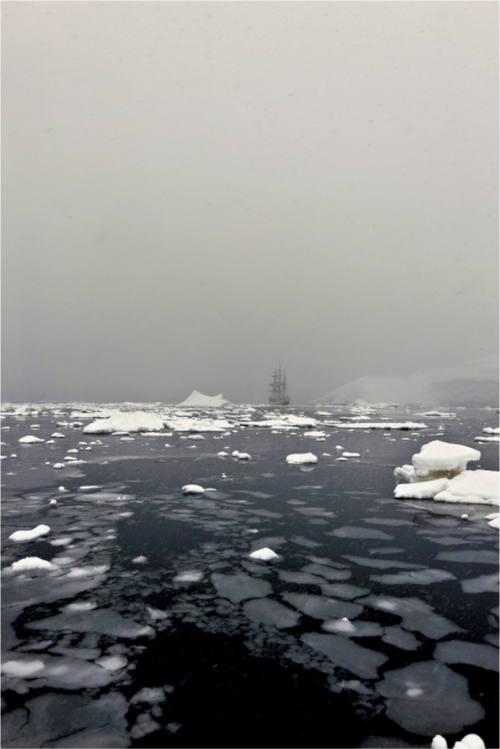 Main image Antarctica-I